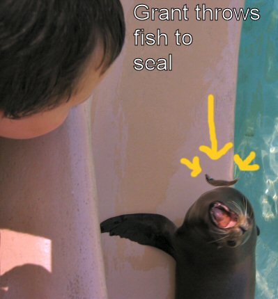 feeding seals